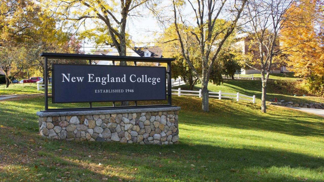 2019_10_15_Foliage-6-scaled