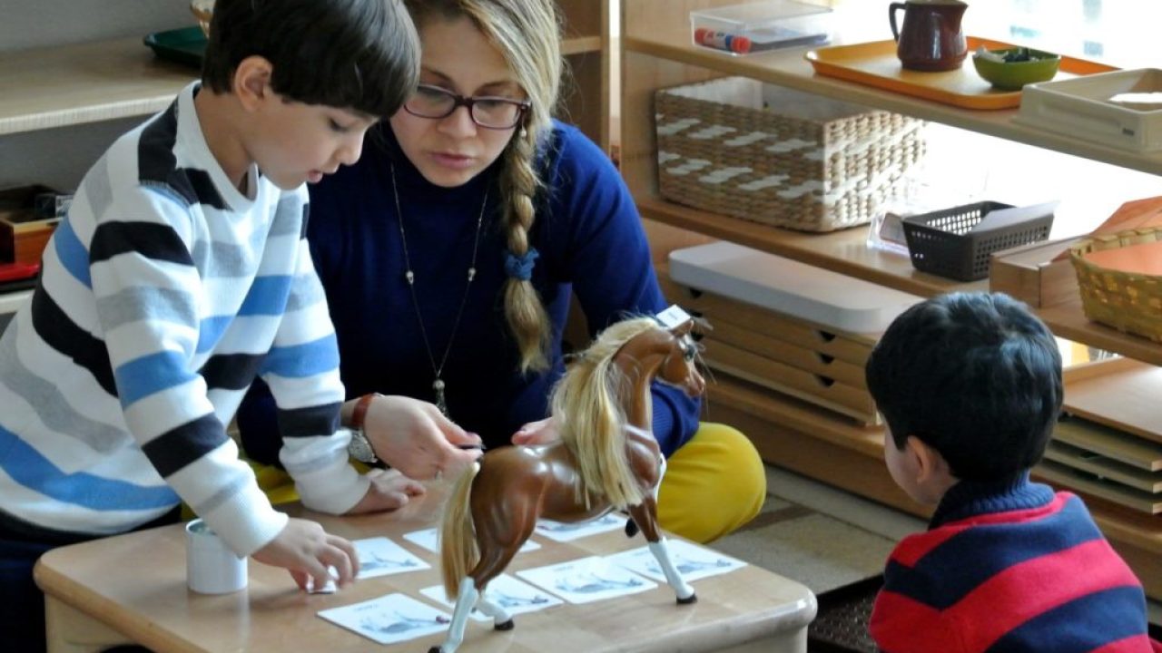 parts-of-a-horse-2-1024x731-1